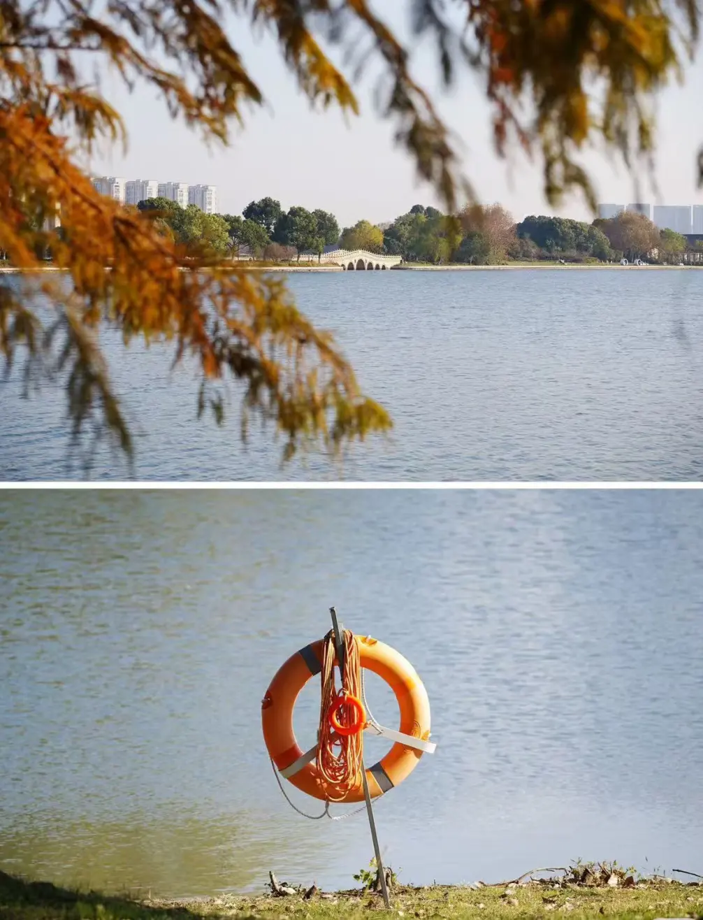 8747706b798762896ac10f065b15b20c-sz_277648 8747706b798762896ac10f065b15b20c-sz_277648