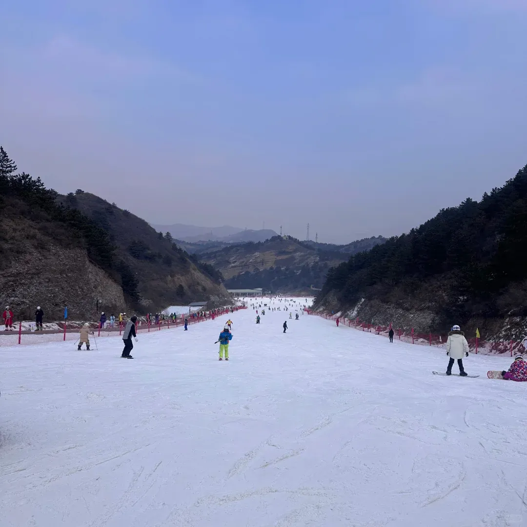 874aede35b3ae1337da3cd3168fd4ed2-sz_1037731