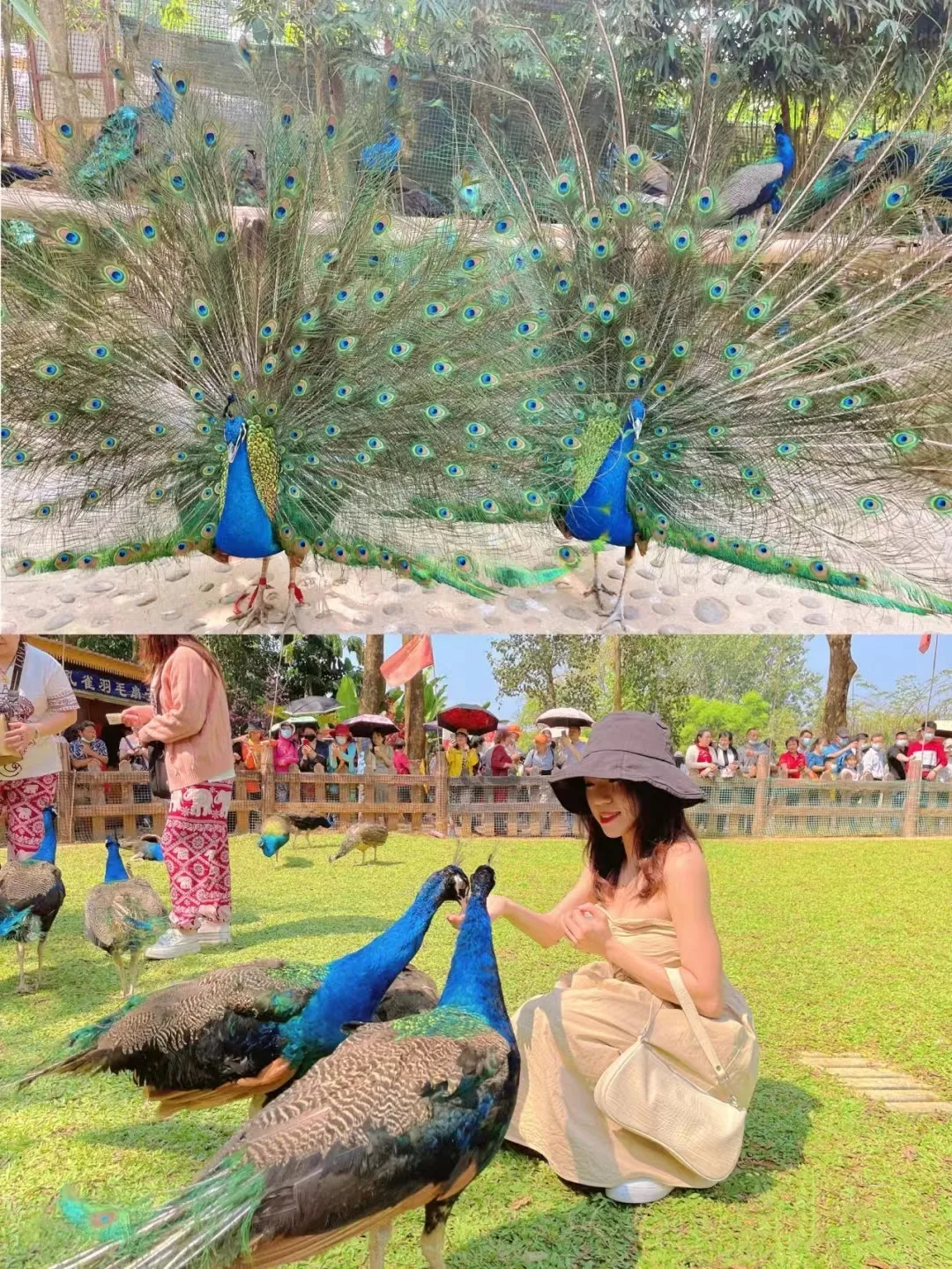 87576cee618d678f1f9f37fda25324c4-sz_719482