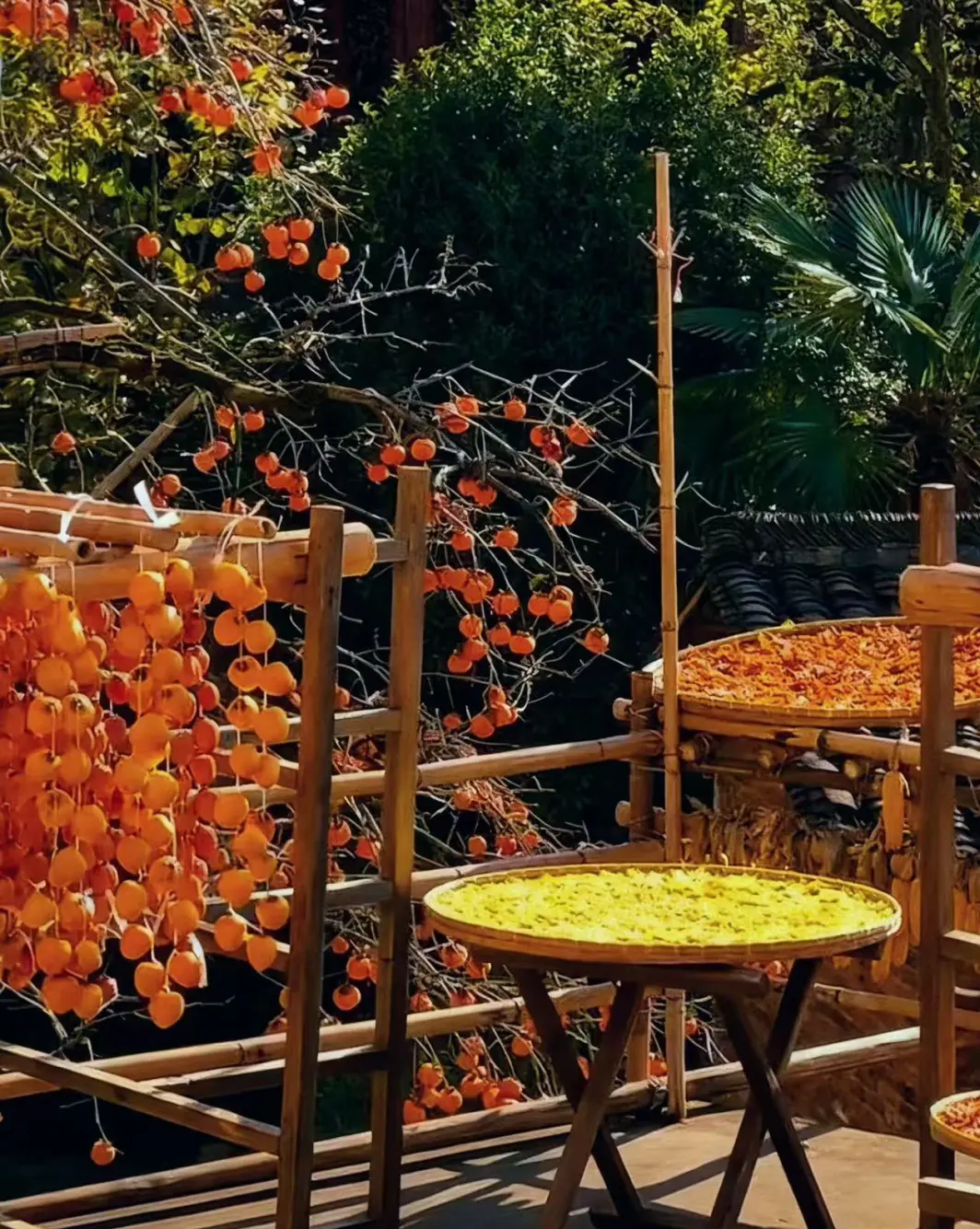 88159a7bc1faa35f7dafa2b1f73e9a73-sz_378140