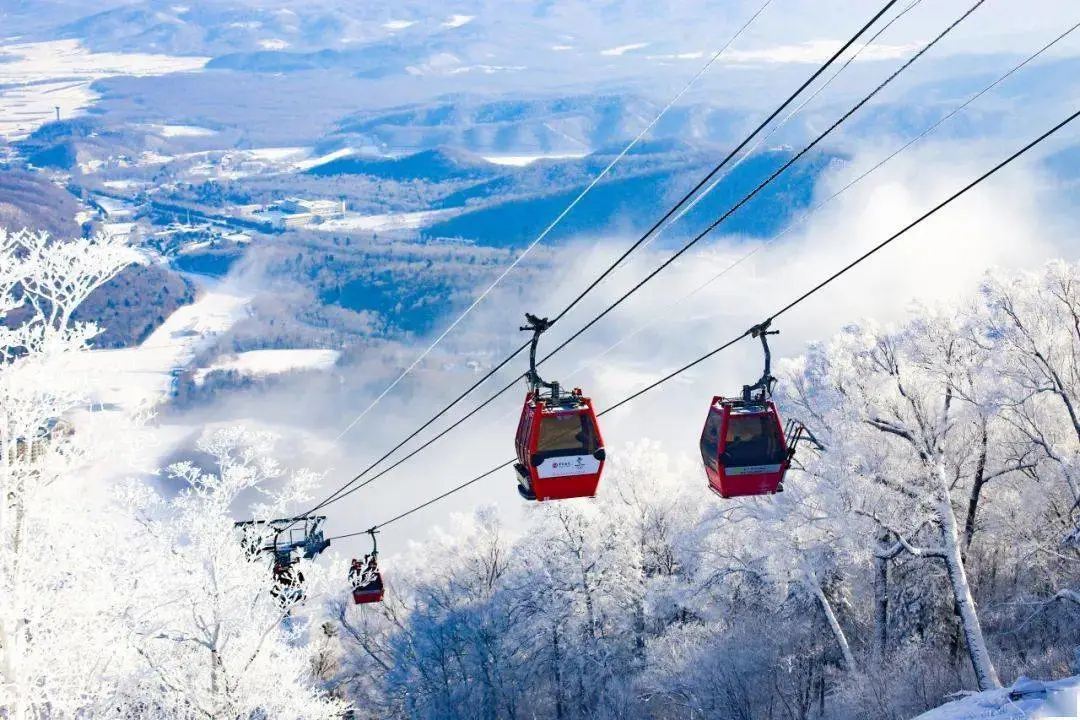 881db9c0753a48b2430b4e6424fc47d6-sz_145603 881db9c0753a48b2430b4e6424fc47d6-sz_145603