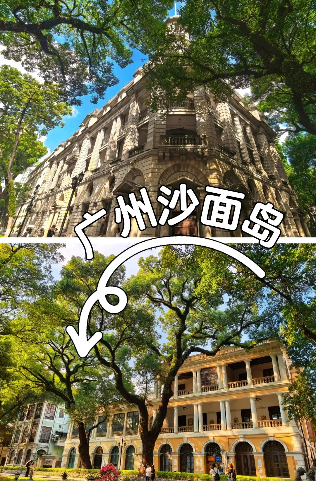 888ff47e4f1ae11fe8cc49689338e32d-sz_856509