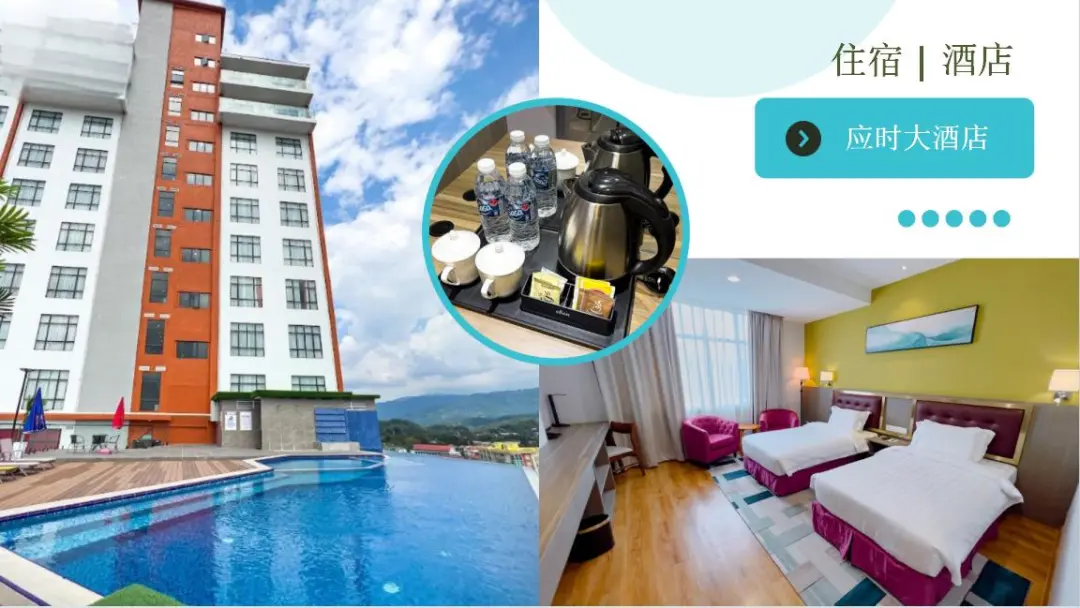 8890d2539f71b39a16c9970850e99874-sz_113651