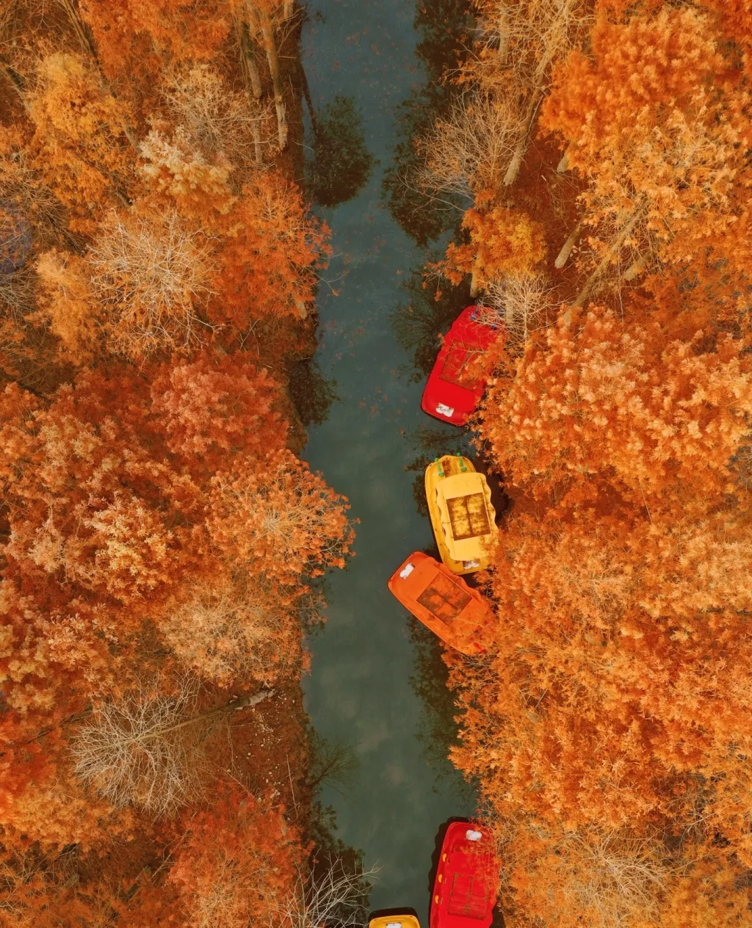 ☞499顶配宣城！连住3晚五星设施酒店！餐餐12菜一汤！赏醉美红杉林，赠送温泉泡汤！含3早6正餐！免费棋牌娱乐！