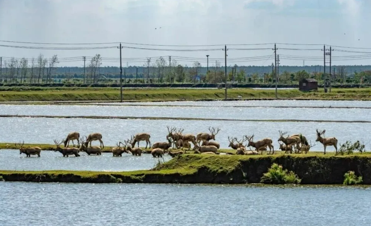 88c4dee2e9f827511fc0cf68cf7cb1b8 88c4dee2e9f827511fc0cf68cf7cb1b8