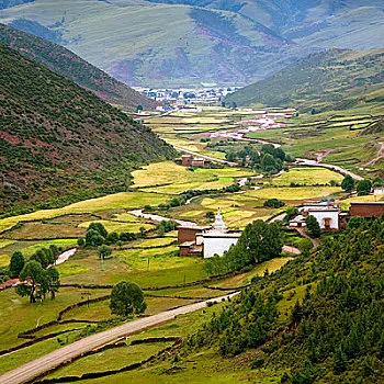 88d4162be31308c3d8d85854dc0b215e-sz_119916