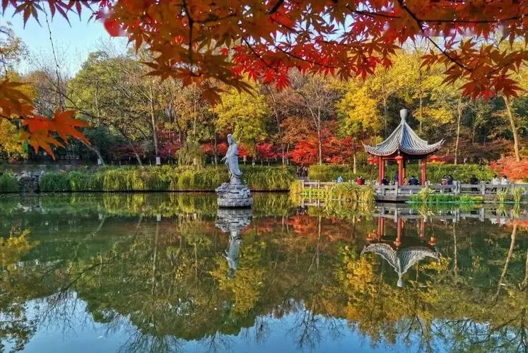 88dc485a45a01ece57ce5278851815a0-sz_100844-2