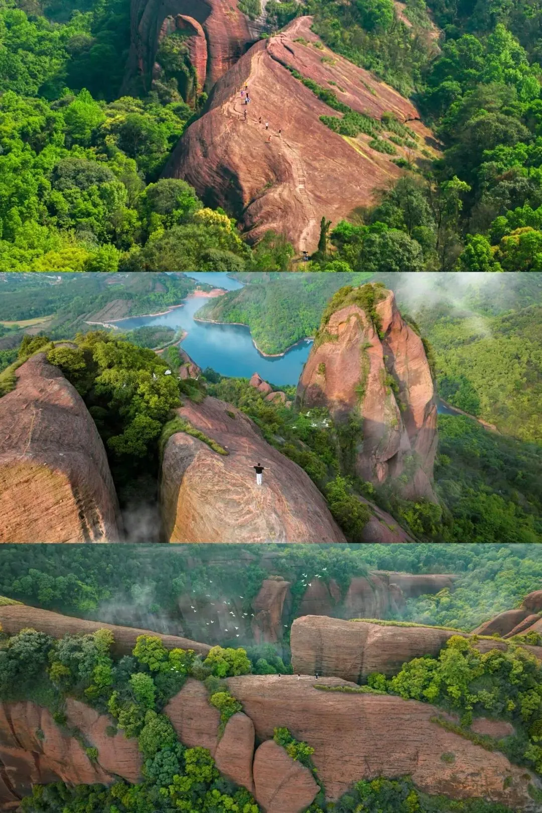 88f774fbb1d06c26afdb54fecacb44ac-sz_382021