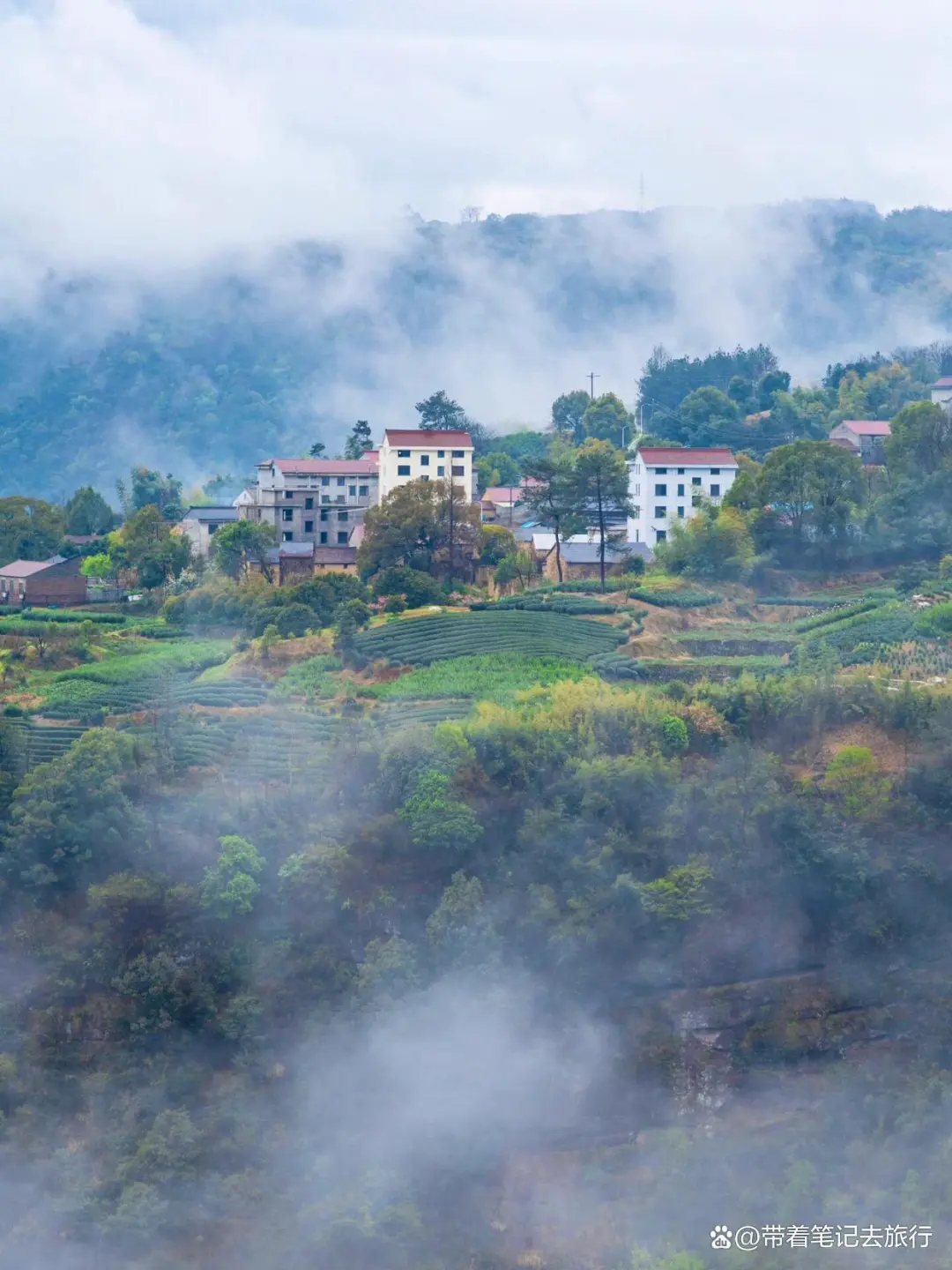 89156d4371b095c62dc2105a6fdaae12-sz_229347