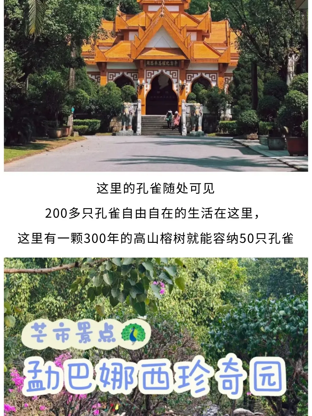 8958d84bf049c221f113d5a880c34825-sz_430144