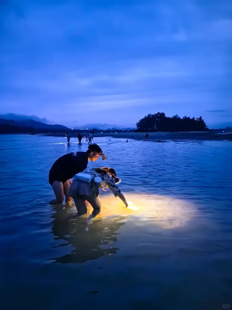 89c789843ba27ffd1f37c6f55463fff8-sz_1200205 89c789843ba27ffd1f37c6f55463fff8-sz_1200205