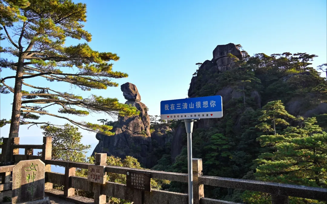 89ed3ab8e01ef7dc76078385a514a12e-sz_13393171