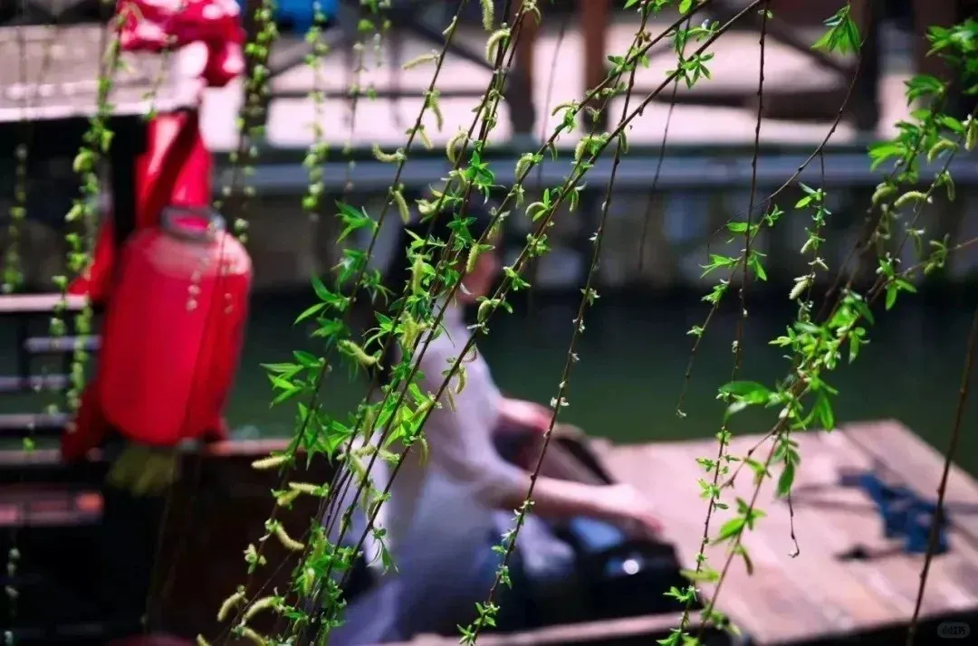 89fa48c2e42b1549312e93c505e38952-sz_1424799