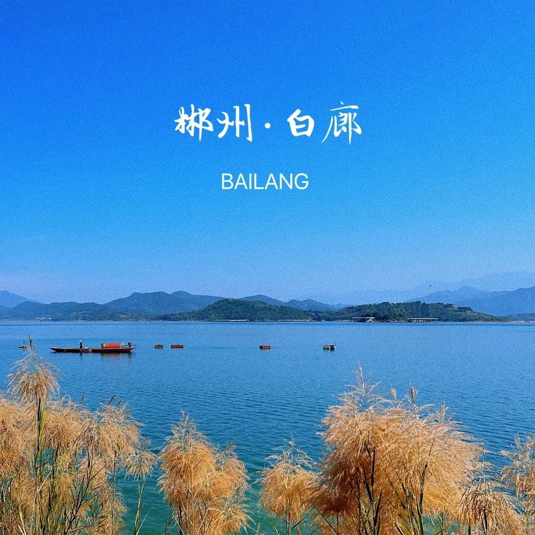 8a2ec2b15a1e4cda45818b464999359c-sz_2425039