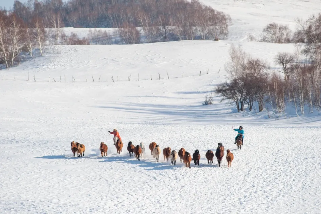 8a2ee1df46f7c4321eb6b745345e7abb-sz_1966851