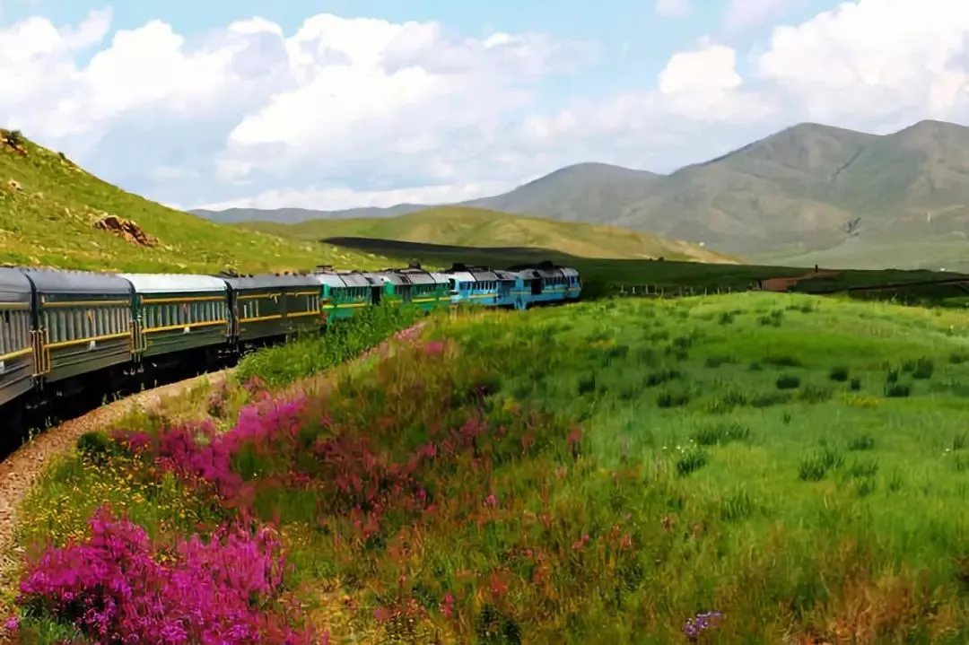 8a64387fcaf7f008f0ea024239d59e5a-sz_113778 8a64387fcaf7f008f0ea024239d59e5a-sz_113778