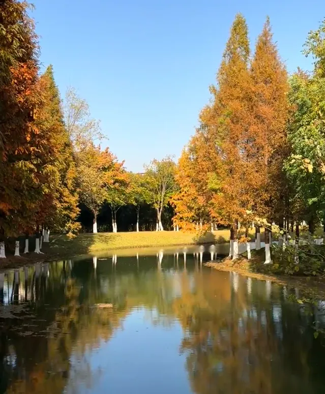 8a76ced5d626dcccb1271dac7941b121-sz_895708-1 8a76ced5d626dcccb1271dac7941b121-sz_895708-1