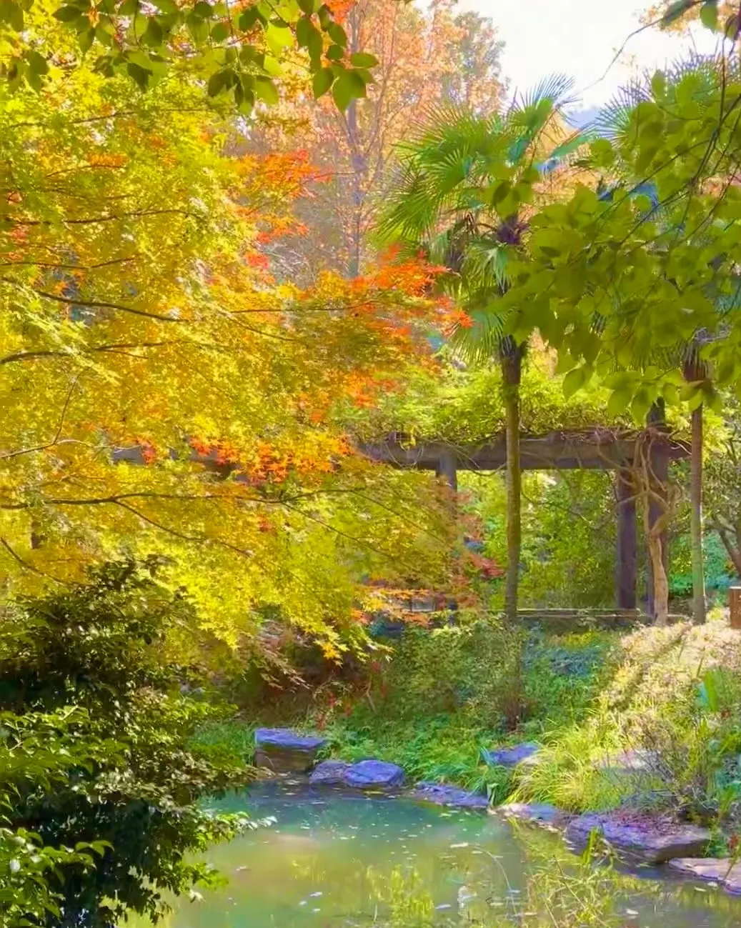 8a7d4bee9b7c3d269e2b6a18d2a27e4d-sz_502426