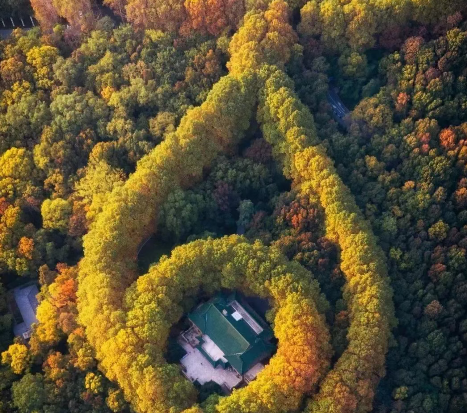 8a7e702558be1ade562ee757157ae1a2