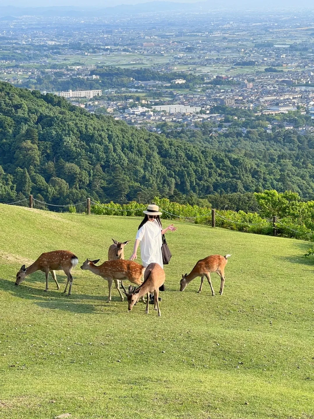 8abc0f7adb24de22d9c5d16c168f8dbd-sz_776571 8abc0f7adb24de22d9c5d16c168f8dbd-sz_776571