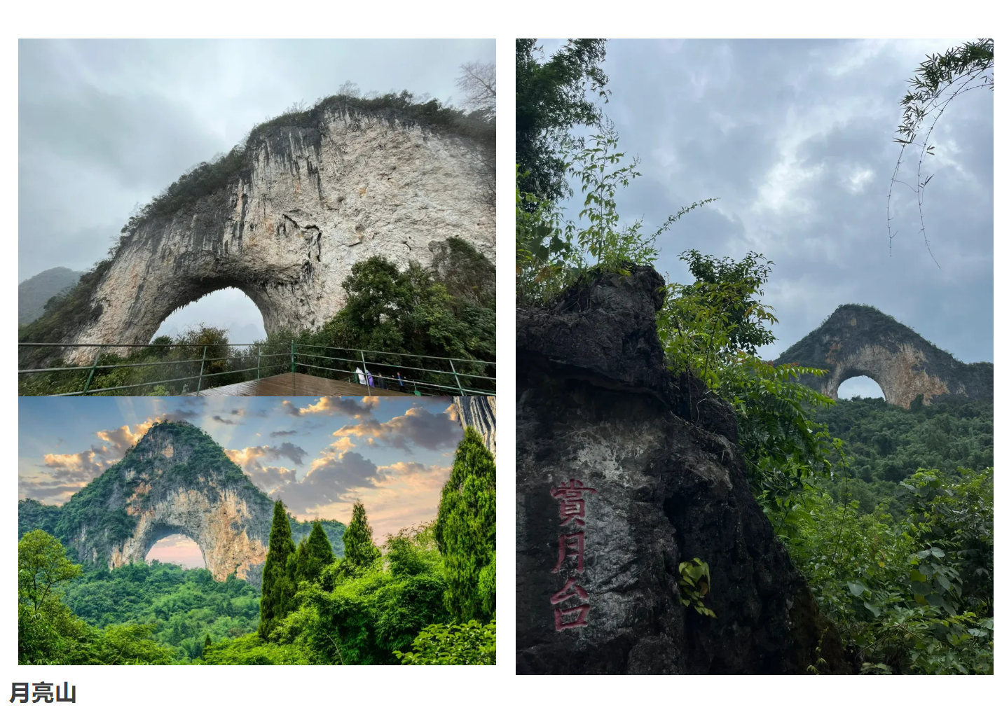 8ad764763d2a6e0ee9e0e8e514330d87