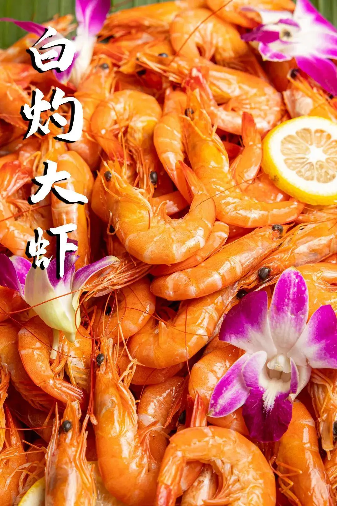 8aee7986cfcb5589e1db09b89c5bbea7-sz_263727 8aee7986cfcb5589e1db09b89c5bbea7-sz_263727