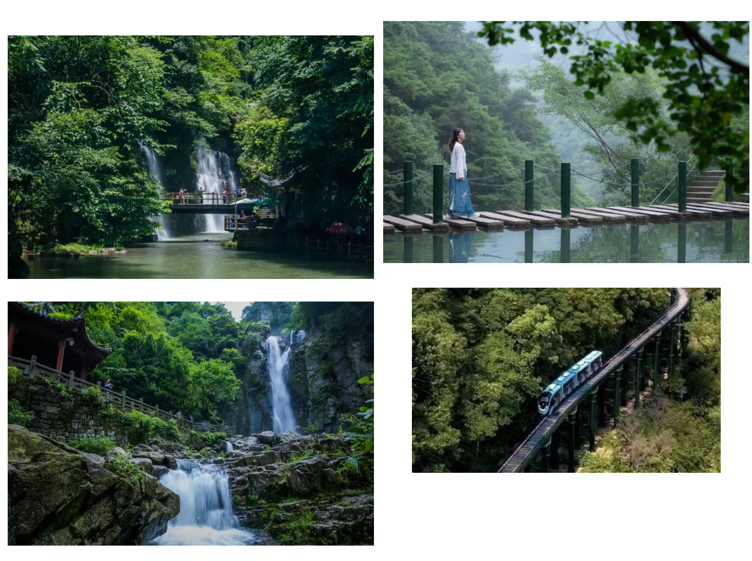 8b0457febb8bb43b65ca7fe4a5c75e65