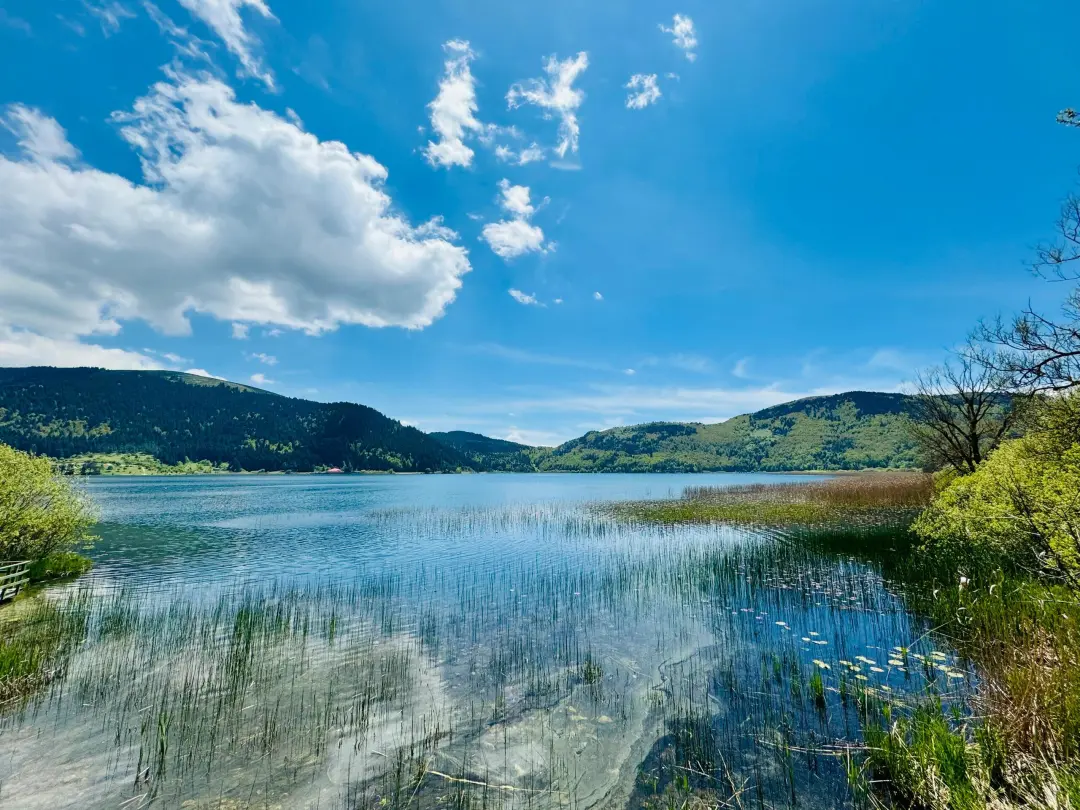 8b3ebcfd1dd178f5921f97721623c09c-sz_818617 8b3ebcfd1dd178f5921f97721623c09c-sz_818617