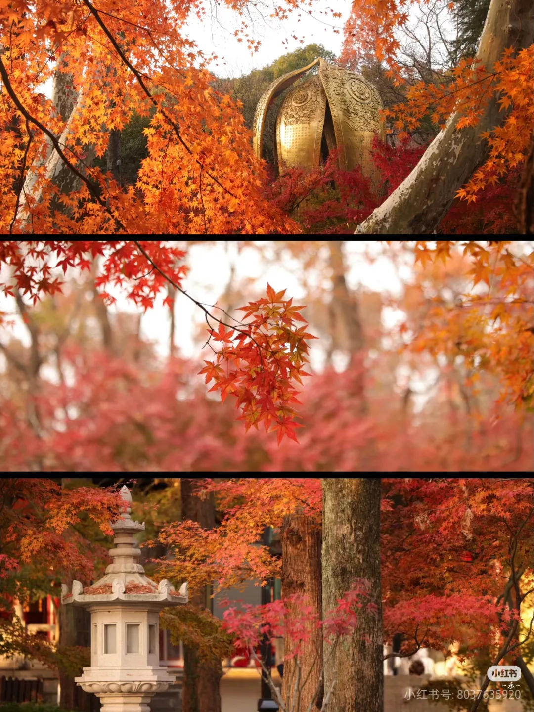 8b4044edf39478e948f1a2b5acf74cac-sz_2017121