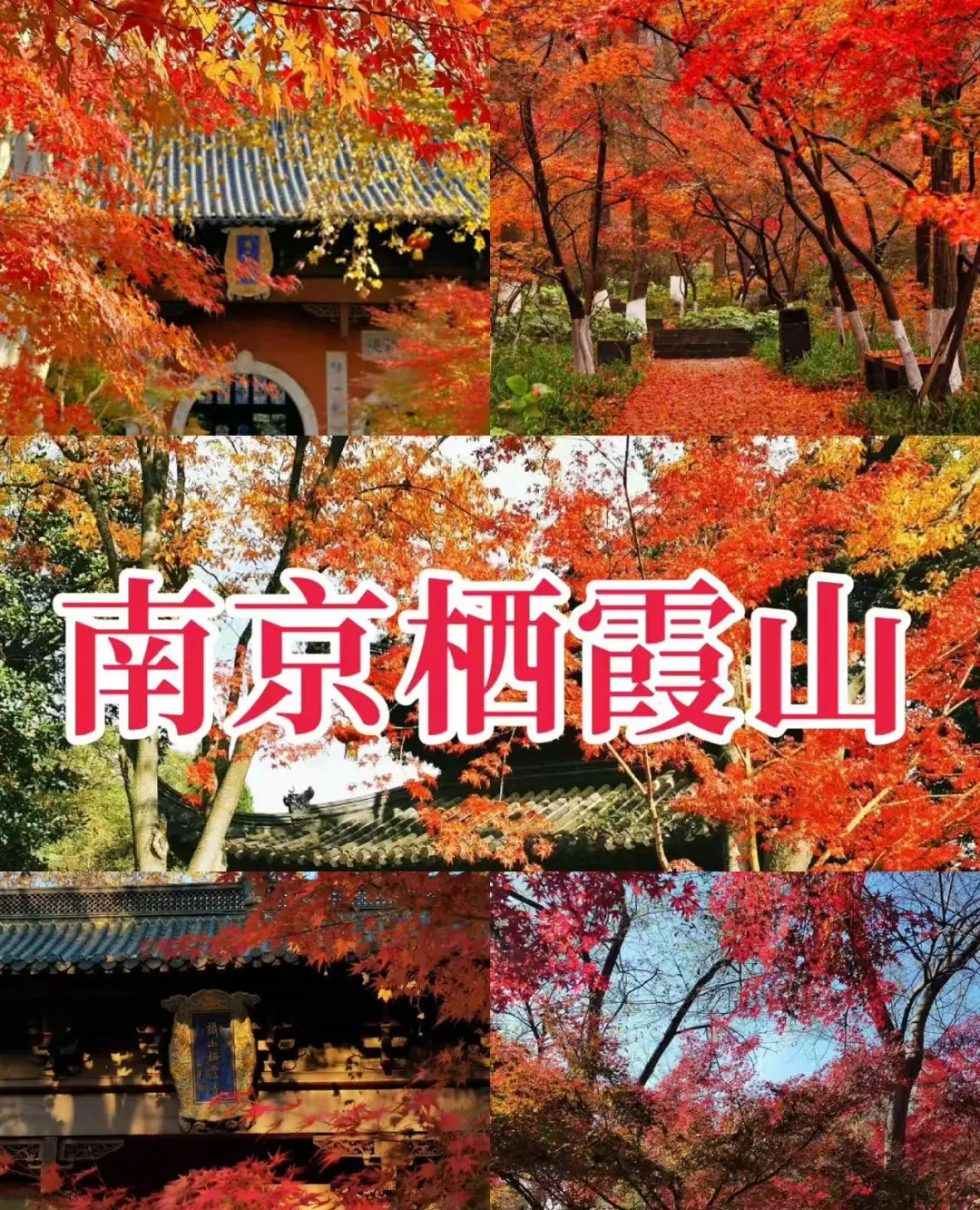 8b8e7173bf940e0595d7bf7032963e9d-sz_585327 8b8e7173bf940e0595d7bf7032963e9d-sz_585327