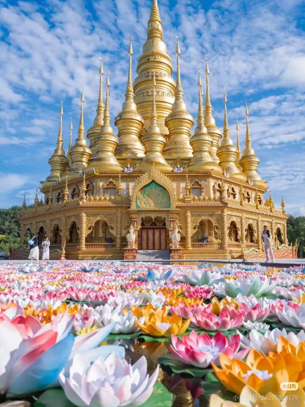 8baf526c7ce43a0eded8fed9bf828345-sz_913296-1 8baf526c7ce43a0eded8fed9bf828345-sz_913296-1