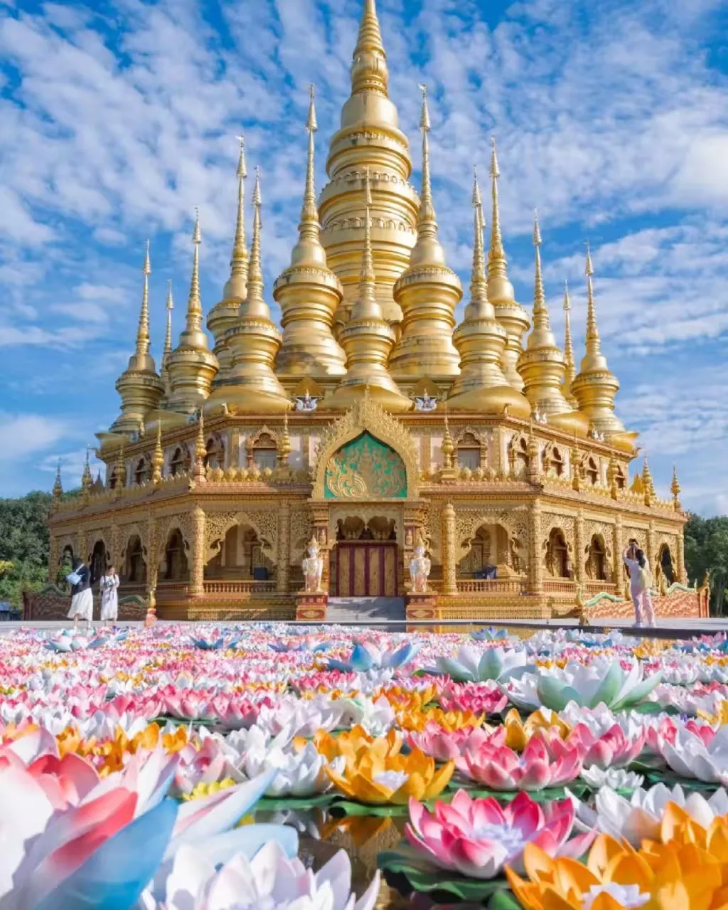 8baf526c7ce43a0eded8fed9bf828345-sz_913296 8baf526c7ce43a0eded8fed9bf828345-sz_913296