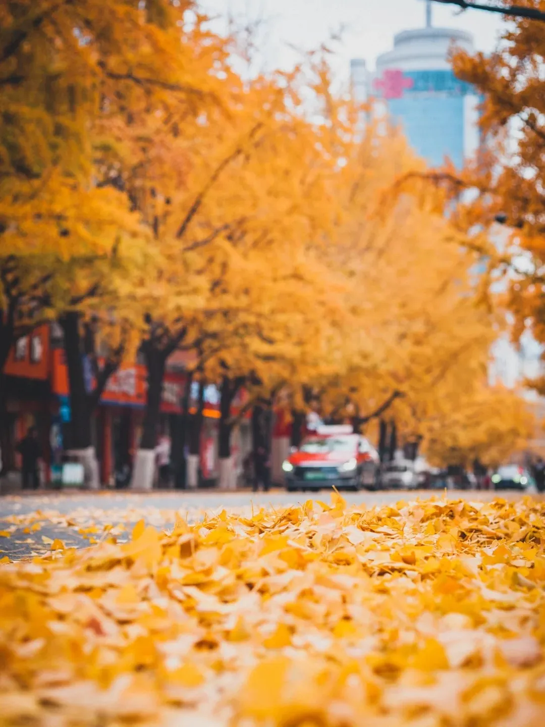 8c3d8aff03cebf3268ce3c9bfdb85c14-sz_308877