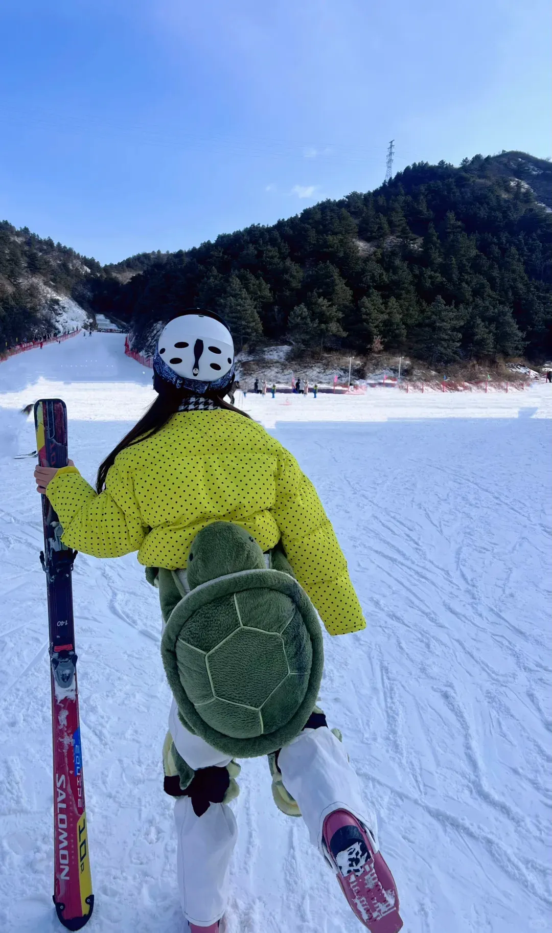 8c4a8dc2b12728c9c8f5b8107f2a6e3c-sz_2914023