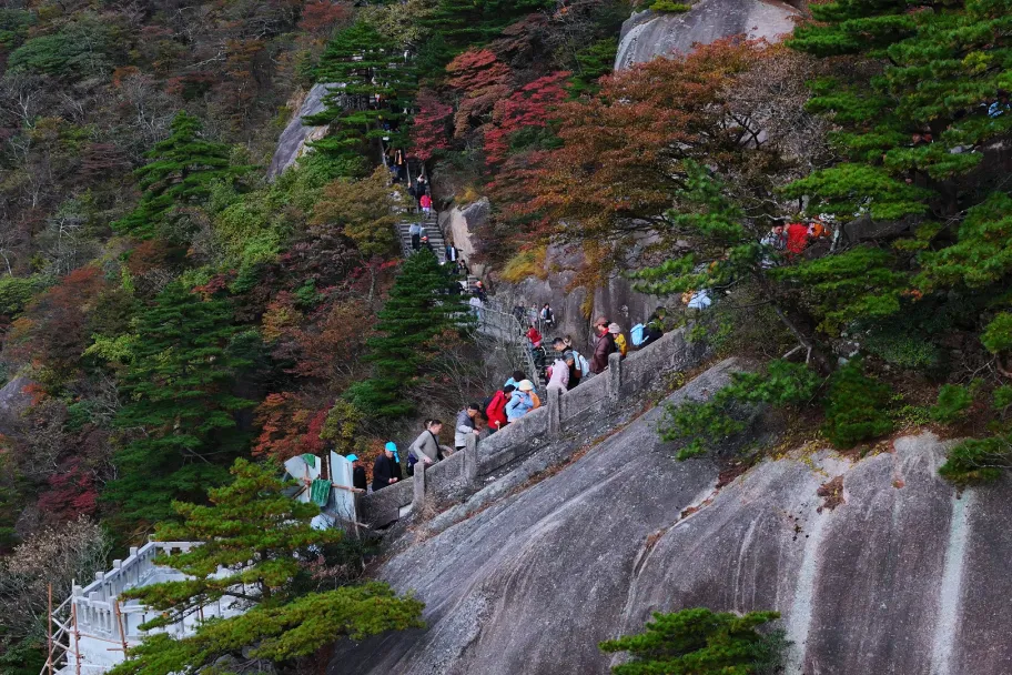 8c4f34c211ba4eb09c5c72b8c94c1c95-sz_1228411