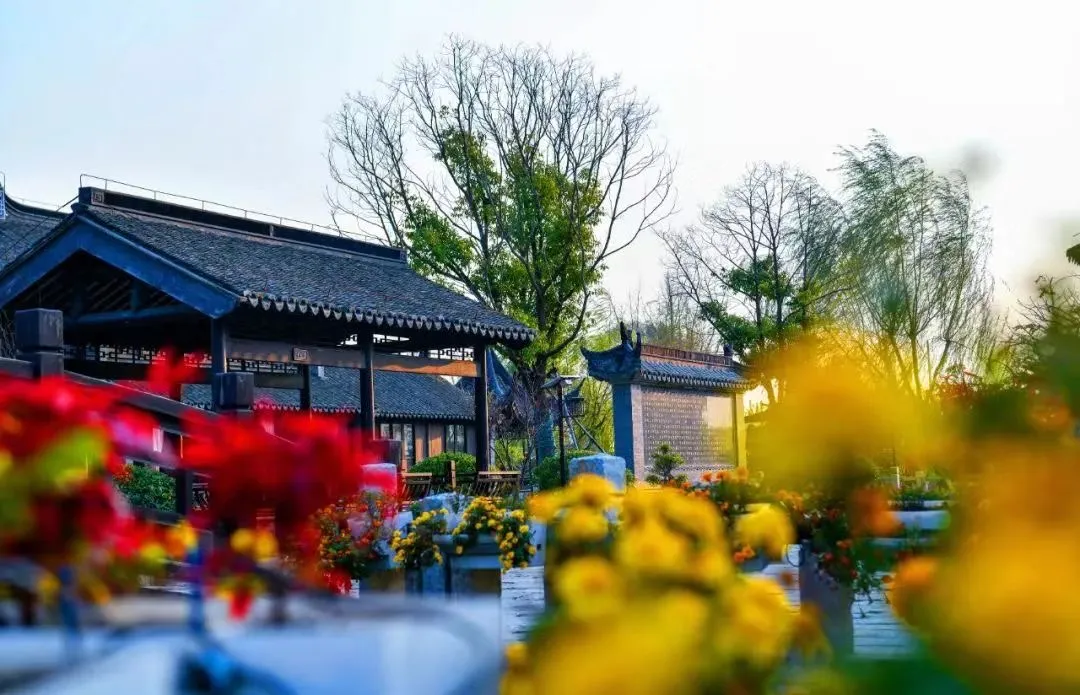 8c724e2dfa3c09d87de590a67ae2dbbd-sz_206645 8c724e2dfa3c09d87de590a67ae2dbbd-sz_206645