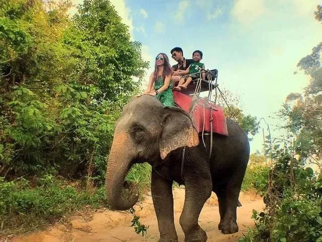 8c996849506a217aeccb04f2298c45f6-sz_85195 8c996849506a217aeccb04f2298c45f6-sz_85195