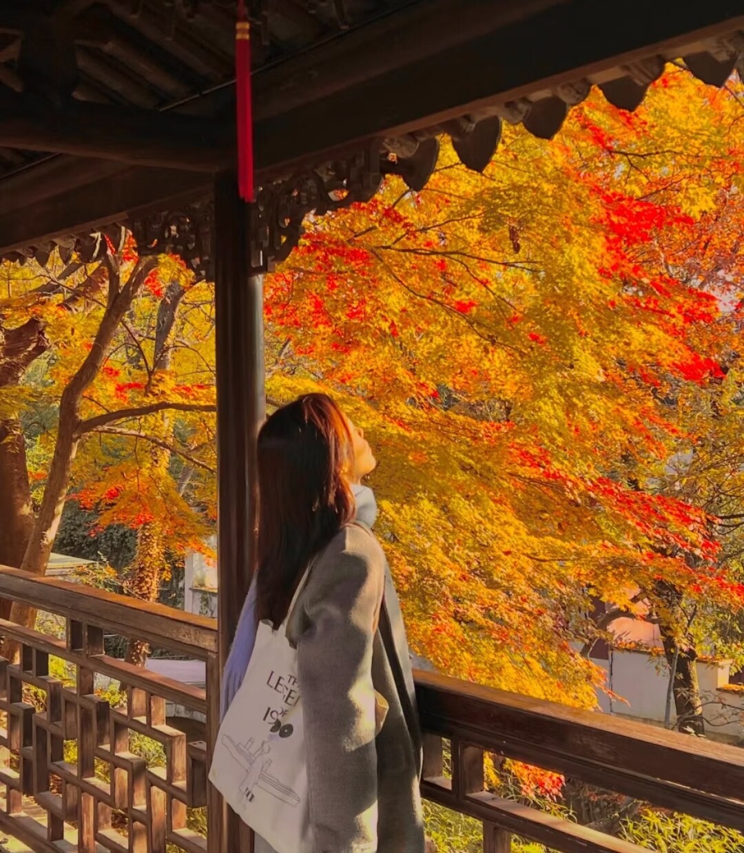 8d00d3fb474956141f266b4380f8e0ba-sz_1300615