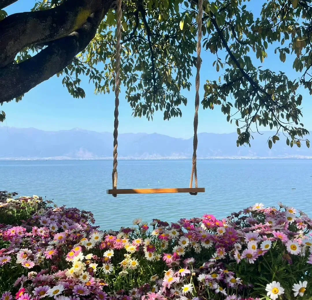 8d14c4698dad24d611f225a95161d5be-sz_4106688-2