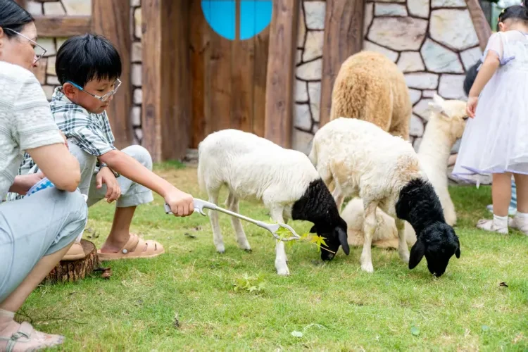 8d1f04cc012d6ec0c4880d18356b29f6-sz_475311