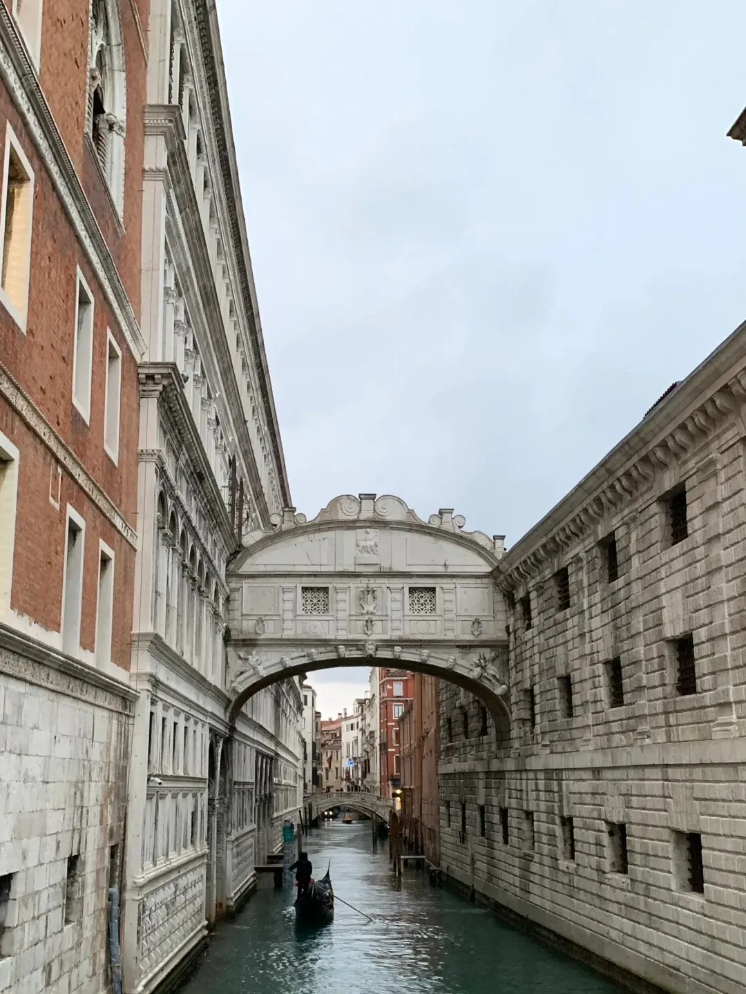 8d369b20530d3dc9ca9be51f1ad51f51-sz_453827