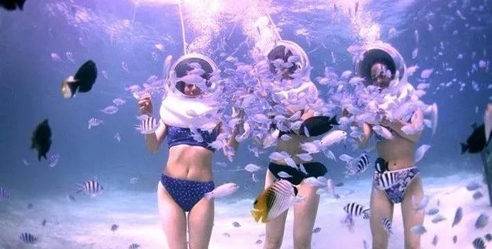 8d38df992c7be52b52d1b2eaf8bb69be-sz_49362