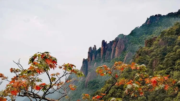 8d41d37aa45fc7f0747cc6cfae5a80cd-sz_152332