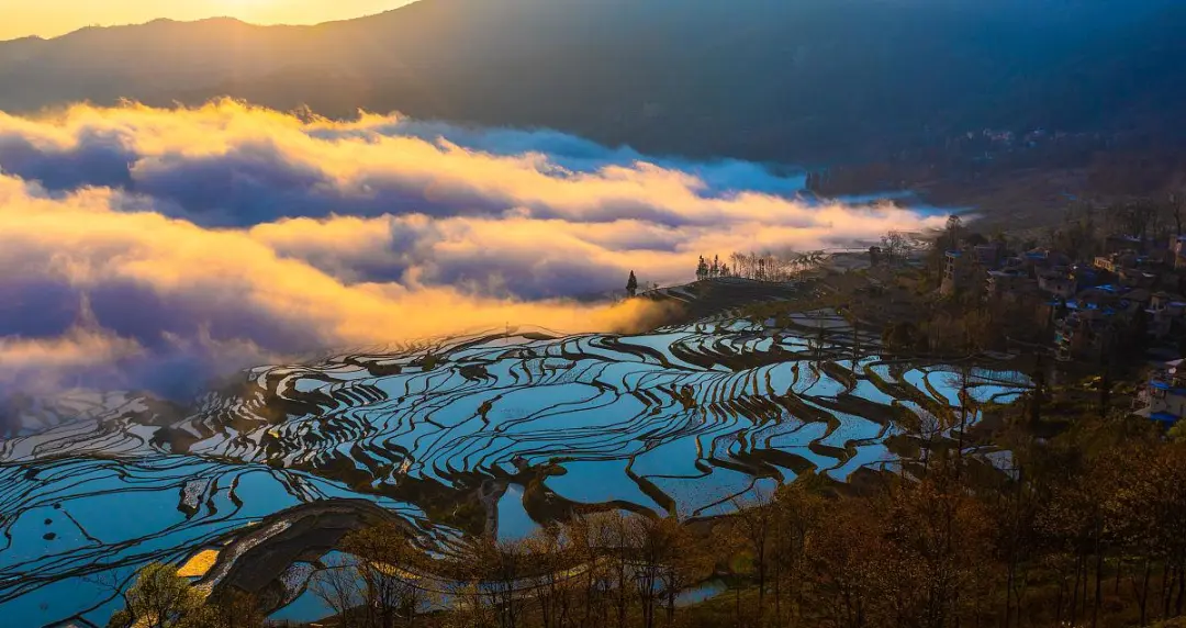 8d51a7ac30ad0f430f8c7f0a9fc30b35-sz_157301