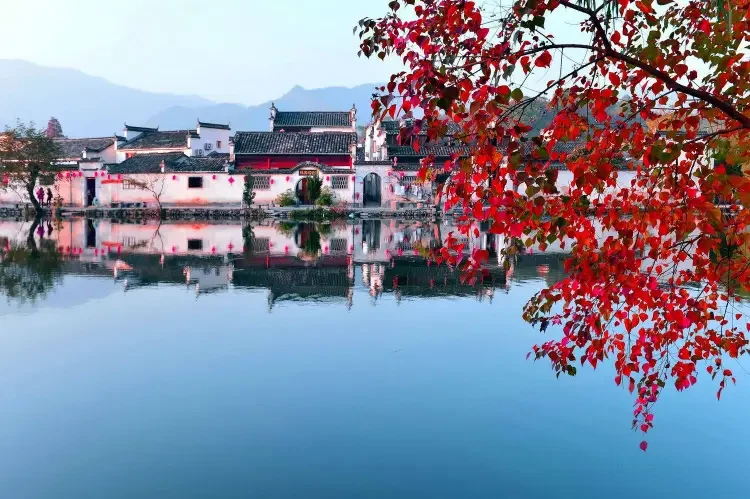 8d8d34d566ffe9375490d6fb0e0a8043-sz_335551 8d8d34d566ffe9375490d6fb0e0a8043-sz_335551