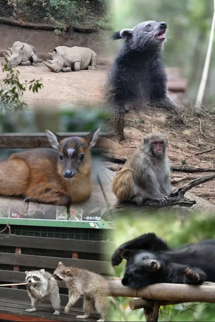 8dc42799ebed3681051ebef36aacf934-sz_4341036 8dc42799ebed3681051ebef36aacf934-sz_4341036