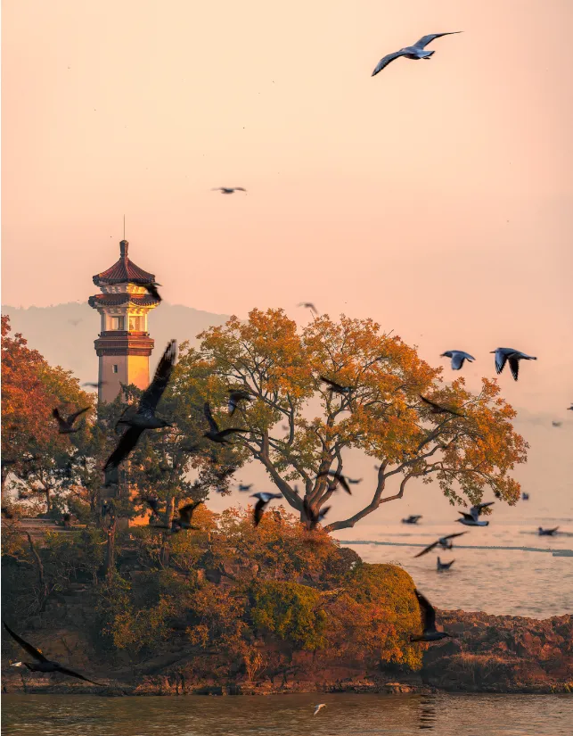 8dd2ce1e595362af0c10015e63247610-sz_908514-1 8dd2ce1e595362af0c10015e63247610-sz_908514-1