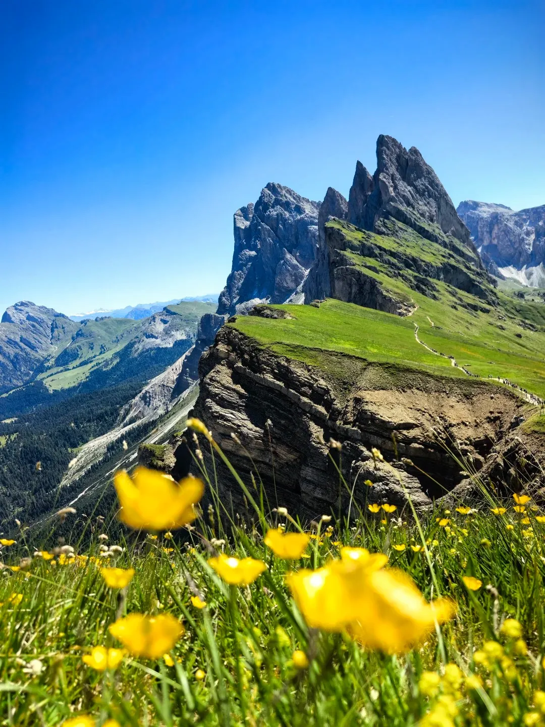 8ddbde6ef1f3a96050e4f8b6c6c49916-sz_532955