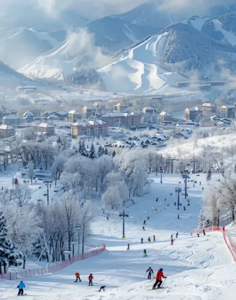 8dec0e0655c126df8d4cd5c0a9fa653e-sz_712847