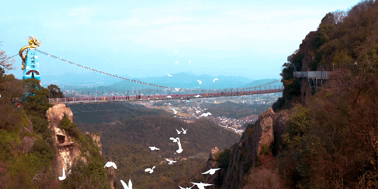 8dff8e86a80573d94e7a09e626c9ae71-sz_3873737